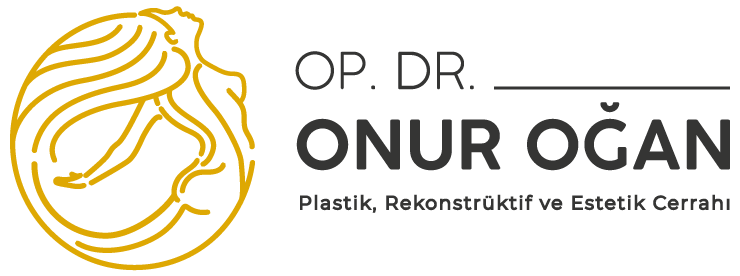 Onur Ogan Gallery Website